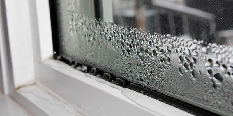 Moisture Control - What’s Best for Your Home?