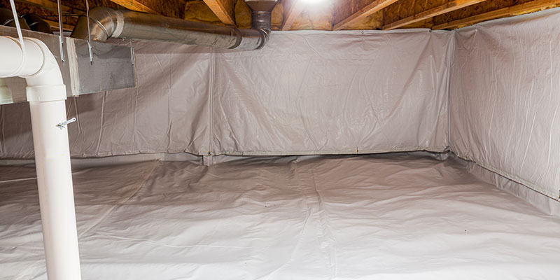 Water Intrusion in Elmvale, Ontario