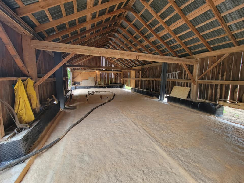 Residential Foam Insulation in Elmvale, Ontario